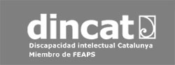 logo-dincat